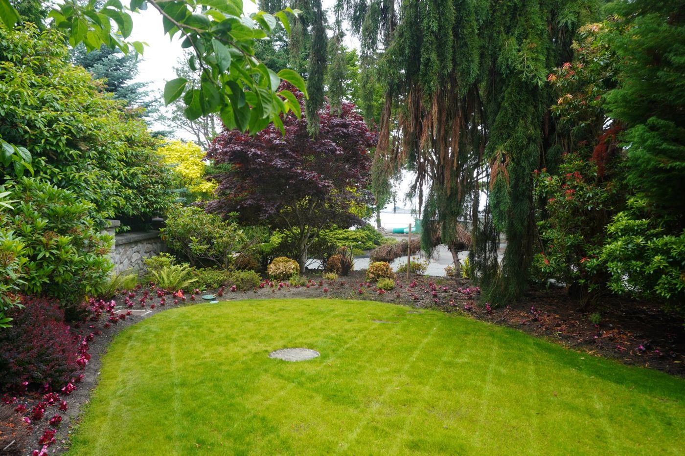 Completed garden and landscaping by Rise service partner
